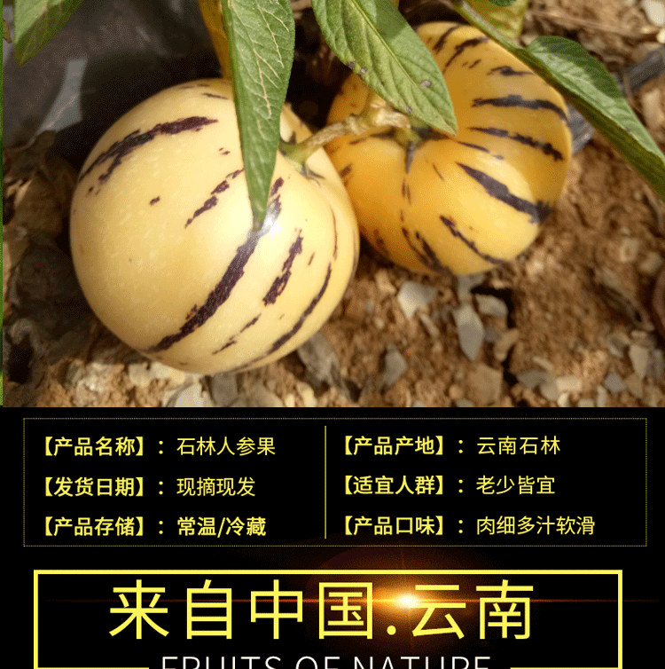 4.png